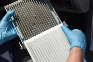 Air Filter Replacement 1 Importance of Air Filter