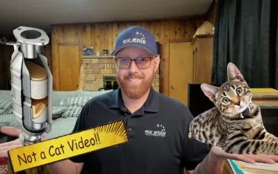 Media Gallery 50 My Cat Video – Catalytic Converters Explained – What They Do and Why They Fail